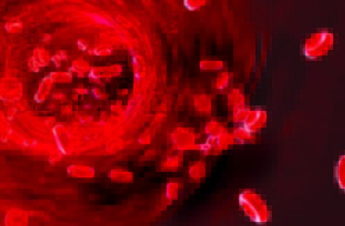 articolo PRGF 1